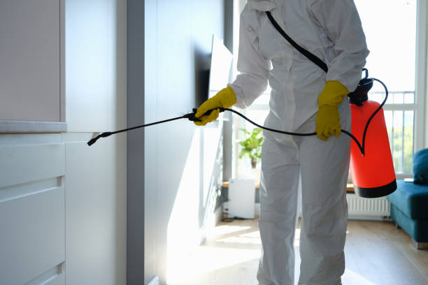 Best Residential Mold Remediation in Lower Grand Lagoon, FL